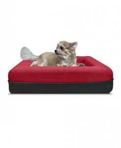 good quality and durable pet furniture singapore